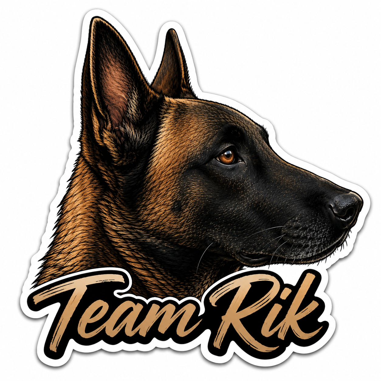 Team Rik Stickers