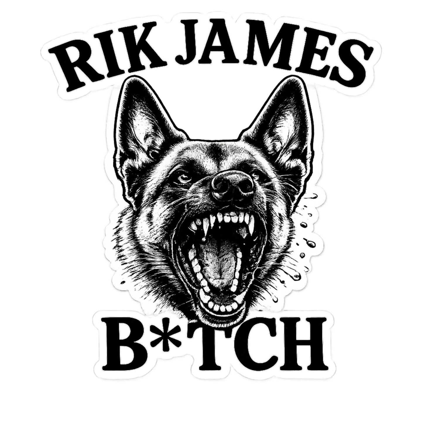 Team Rik Stickers