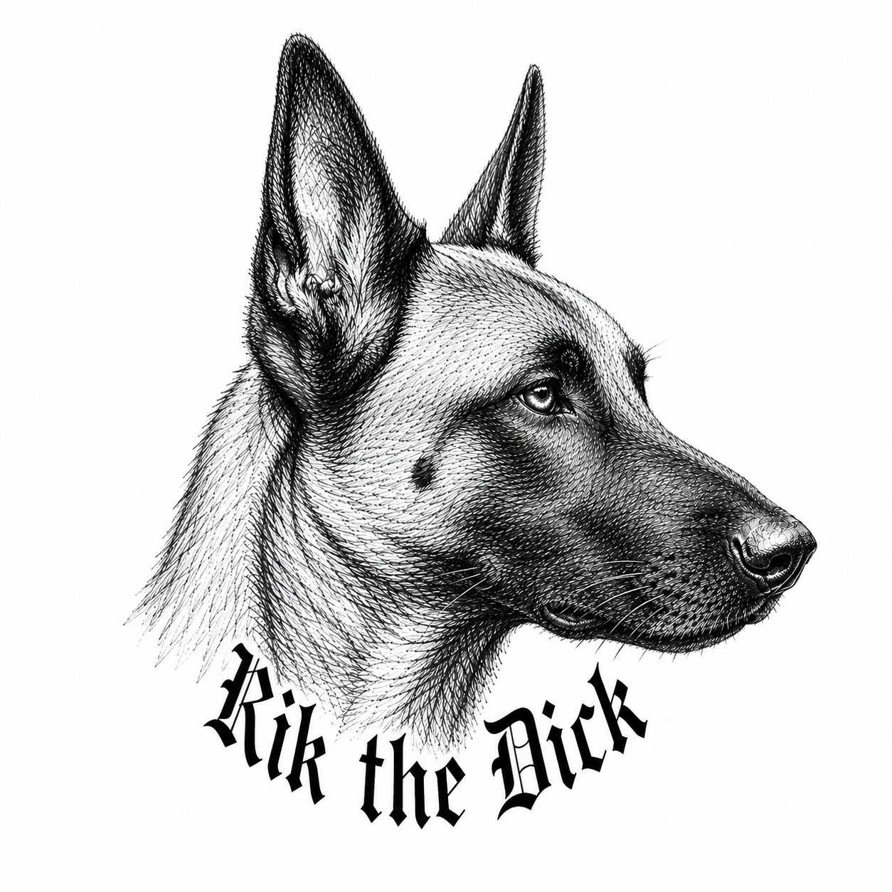 Team Rik Stickers