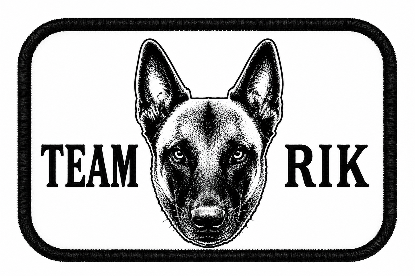 Team Rik Stickers