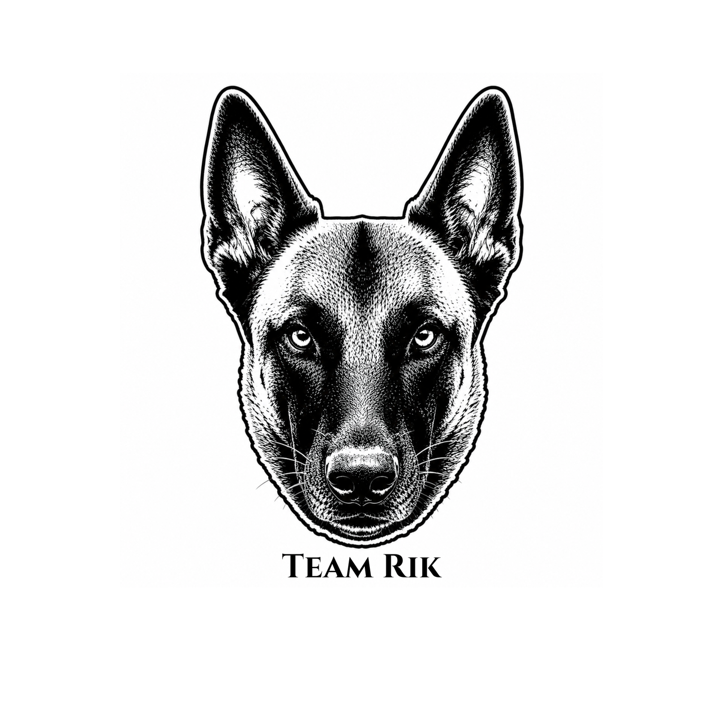 Team Rik Stickers